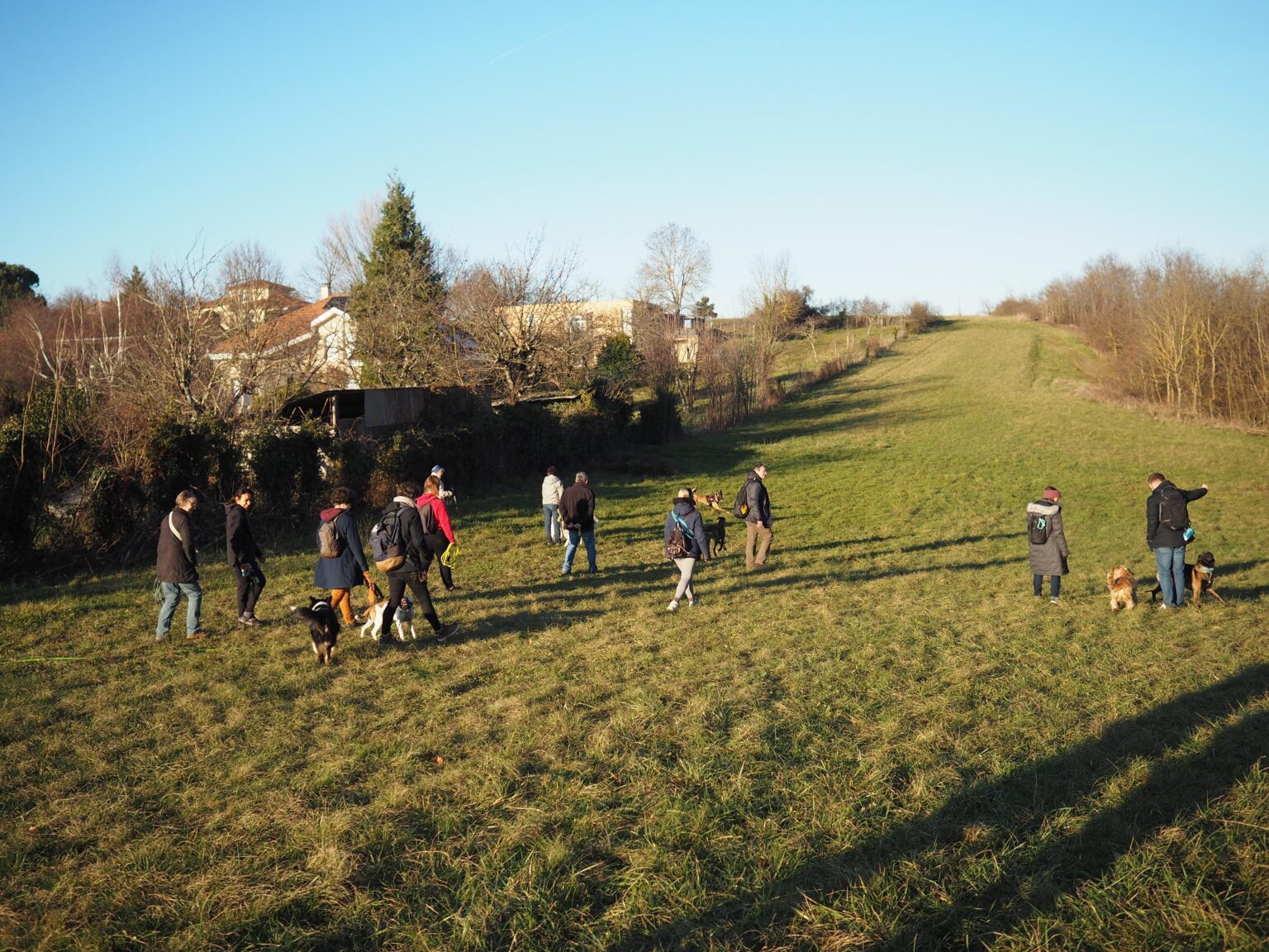 séance d’éducation canine à Bourgoin-Jallieu